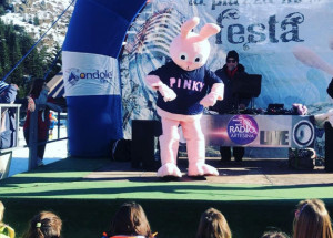 Sabato ad Artesina il 'Raduno Nazionale Mascotte'