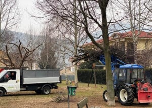 Pulizia e messa in sicurezza di parchi e strade a Busca