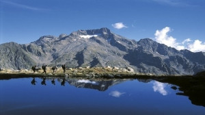 Insediato il nuovo Consiglio del Parco Alpi Marittime: Andrea Bodino nuovo vicepresidente