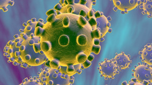 Coronavirus, l'aggiornamento della Regione: 373 persone positive in Piemonte