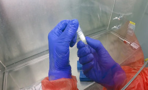 Coronavirus, salgono a 13 i contagi in provincia di Cuneo