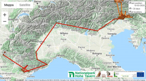 Un grifone in volo dal Friuli Venezia Giulia alle Alpi Marittime in due giorni e mezzo