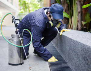 'Non faremo la disinfezione delle strade: non serve a limitare la diffusione del virus'