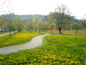 Coronavirus, Alba chiude parchi giochi, aree verdi e giardini