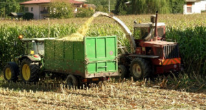 Coronavirus, Coldiretti: 'Servono interventi per salvare l'economia agricola'