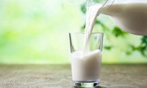 Coronavirus, il sostegno della Regione alla filiera lattiero-casearia