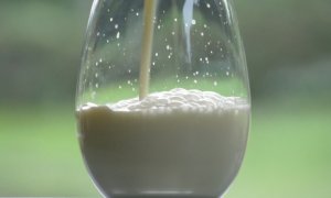 'Stop al latte straniero, serve puntare sul made in Cuneo'