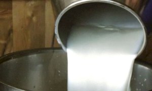 Latte, Coldiretti: 'Il silenzio della Regione Piemonte fa rumore'