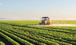 Cia Cuneo: 'Servono nuove strategie per l’assunzione di manodopera in agricoltura'