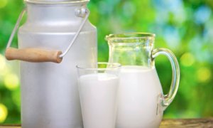 Coronavirus, Coldiretti: 'Serve atto di responsabilità da parte della filiera del latte'