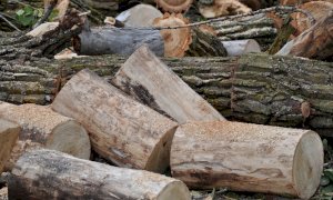 Confagricoltura Cuneo: 'Serve una proroga al periodo di taglio nei boschi'