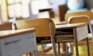'Anche nel nuovo anno scolastico lezioni a distanza? Da insegnante sono basita'