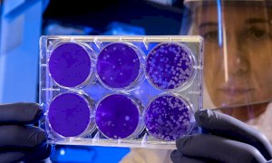 'Nelle RSA piemontesi effettuati 3 mila tamponi: circa un terzo è sospetto positivo'