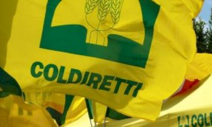 Coldiretti: 'Avanti con la difesa dei marchi italiani dallo shopping straniero'