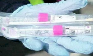 Coronavirus, la situazione in provincia di Cuneo: 1309 i positivi, 105 i deceduti