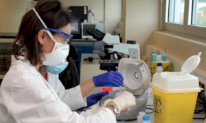 L'annuncio della Regione: 'Potenziato il piano per i tamponi nelle case di riposo'