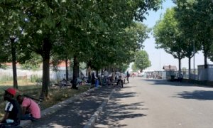 'A rischio la campagna della frutta nel Saluzzese'