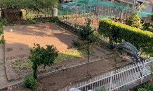 È consentito spostarsi per la cura degli orti privati anche in comuni diversi da quello di residenza