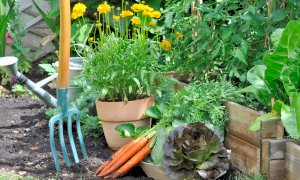 Cirio conferma: ‘‘La cura degli orti è consentita anche in Piemonte’’