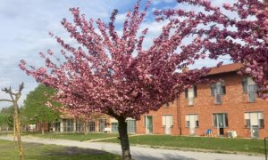 Farigliano, 17 ospiti della casa di riposo positivi al Coronavirus