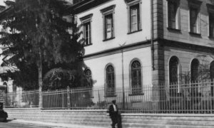 Sono a rischio caduta, verranno abbattuti i due storici cedri della Scuola Enologica di Alba