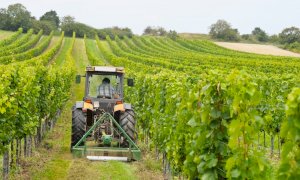 Coldiretti Piemonte: ''Serve subito liquidità per imprese in crisi''