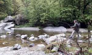 Una nuova carta aggiornata per la pesca sportiva (per ora vietata)