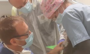 L’Unità Medico Veterinaria di Fossano studia il ruolo degli animali domestici nella diffusione del Coronavirus