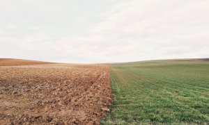 Coldiretti Piemonte: ''Preservare il suolo per continuare a garantire produzioni agricole di qualità''