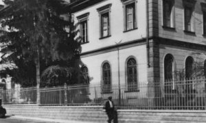 Alba, le precisazioni del Comune sull'abbattimento dei cedri nel giardino dell’istituto superiore Umberto I
