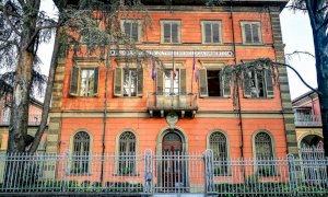 'I cedri della scuola enologica di Alba siano sostituiti da due nuove piante'