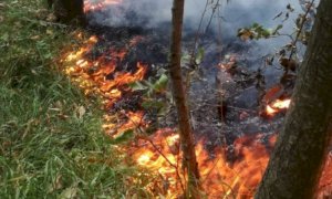 Revocato lo stato di massima pericolosità per gli incendi boschivi