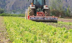 'Urgente la revisione del Psr per far ripartire l'agricoltura piemontese'
