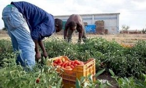 'Regolarizzare i migranti presenti sul territorio per il loro impiego in agricoltura'