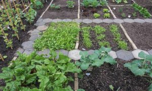 Dal 30 aprile riaprono gli orti urbani di Mondovì: le regole d’accesso