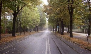 Cuneo, da lunedì pomeriggio Viale degli Angeli sarà area pedonale per due settimane