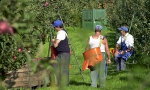 Dalla Regione contributi ai Comuni per l'affitto di strutture abitative per gli stagionali della frutta