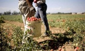 'Prima persona accampata al Foro Boario, inazione della Regione ancora più grave'