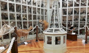  Bra, il Museo a distanza: video didattici del Craveri a disposizione delle scuole