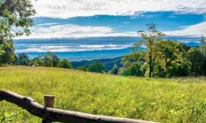Concessione terreni per pascolo a Valmala: anticipata al 14 maggio la scadenza del bando