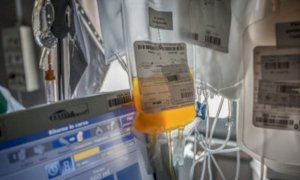Coronavirus, a Novara il primo guarito tra i pazienti curati con il plasma in Piemonte