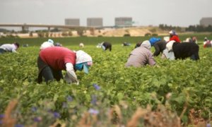 Agricoltura, pubblicato il bando regionale per l'affitto di strutture abitative per gli stagionali