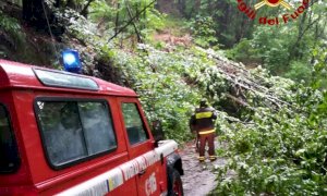 Frane e alberi in strada, i pompieri di Barge al lavoro dopo l’ondata di maltempo