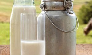 'Quotazioni del latte in calo per gli allevatori, ma nessun beneficio per i consumatori'