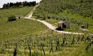 'Vacanze estive in campagna per la ripartenza del turismo locale'