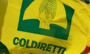 'PAC, l'UE difenda la sovranità alimentare'