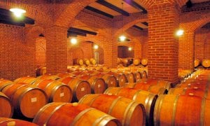  Confagricoltura Piemonte: ''Per il vino giorni decisivi, fare bene e in fretta''