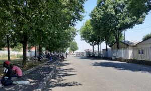 Raccolta frutta, Coldiretti Cuneo: 'Il Saluzzese non è il Far West'