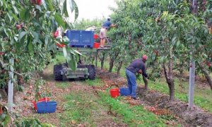 'Vorremmo meno medaglie, ma più interventi concreti'