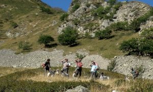 In montagna con i cani senza guinzaglio, nel ponte del 2 giugno nei parchi Marguareis e Marittime multati in 17